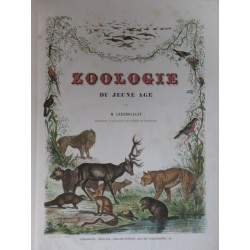 Zoologie du jeune âge ou histoire naturelle des animaux écrite pour la jeunesse