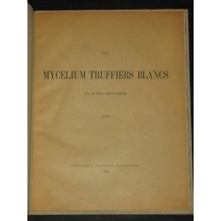 Les mycelium truffiers blancs