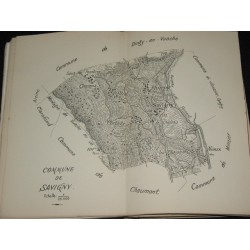 Monographie de la commune de Savigny (Haute-Savoie) étude descriptive et historique