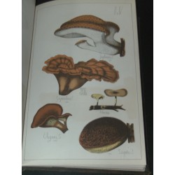 Histoire naturelle des champignons comestibles et vénéneux