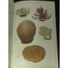 Histoire naturelle des champignons comestibles et vénéneux