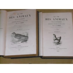 La vie des animaux illustrée description populaire du règne animal - les oiseaux, moeurs, chasses, combats, captivité…