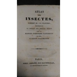 Atlas des insectes, composé...