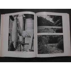 Pris sur le vif - Ombres - Truites - Saumons