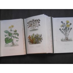 Flore médicale usuelle et industrielle du XIXème siècle