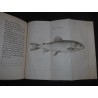 Recherches sur les origines celtiques, principalement sur celles du Bugey, considéré comme berceau du delta Celtique