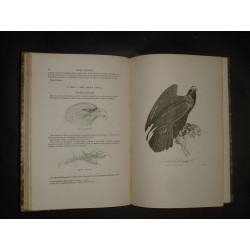 Encyclopédie d'histoire naturelle ou traité complet de cette science - OISEAUX (6 tomes complet)