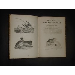 Encyclopédie d'histoire naturelle ou traité complet de cette science - OISEAUX (6 tomes complet)