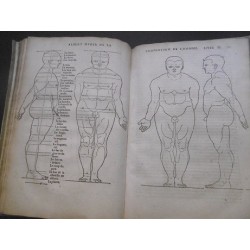 Les quatre livres d'Albert Durer peinctre & géometrien très excellent, de la proportion des parties & pourtraicts des corps…
