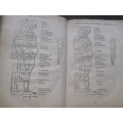 Les quatre livres d'Albert Durer peinctre & géometrien très excellent, de la proportion des parties & pourtraicts des corps…