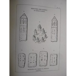 Recueil d'inscriptions Libyco- Berbères avec vingt-cinq planches et une carte de la Cheffia (reliure signée Pouget)