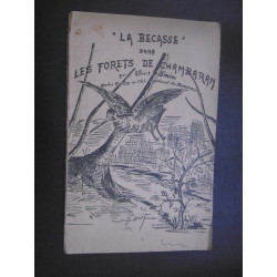 la becasse dans les forets de chambaran