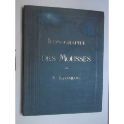 iconographie des mousses