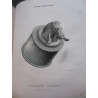 album franc-Comtois